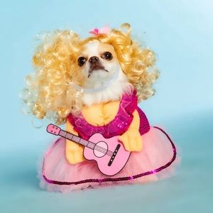 Doggy Parton Sweetheart Costume Set with Sequined Dress, Guitar, and Wig NWOT